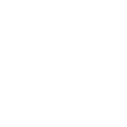 Accessibility icon