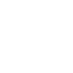 Handshaking two colleagues