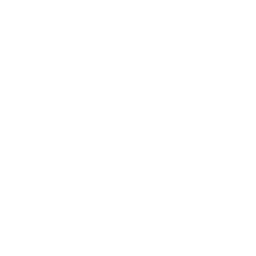 Dollar icon